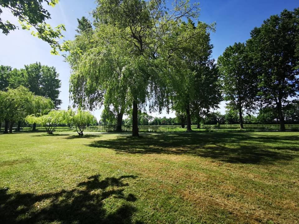 Hotel L'Oasis Des Dombes Ambérieux-en-Dombes Esterno foto