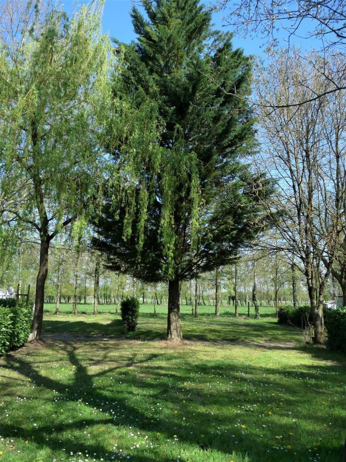 Hotel L'Oasis Des Dombes Ambérieux-en-Dombes Esterno foto